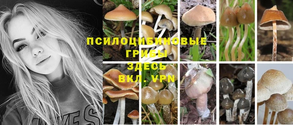 ГАЛЛЮЦИНОГЕННЫЕ ГРИБЫ Алексеевка